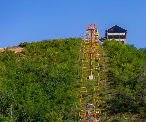 Cozy Bear Condo - Prime location just minutes from Ober Mountain downtown Gatlinburg - image 13