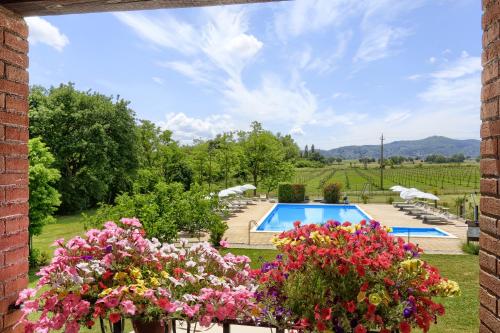 Agriturismo La Fattoria - image 9