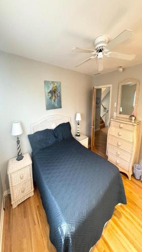 5 Brs, Hot Tub Roof Top, 2Nd Off The Ocean, in Loveladies, USA
