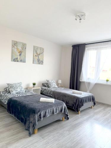 03 Gdynia Centrum - Apartament Mieszkanie dla 2 os