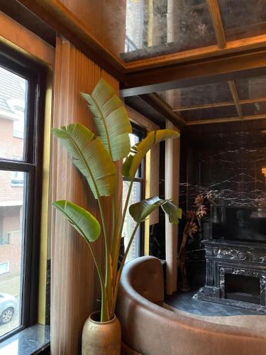 Luxury apartment top location in Bergen