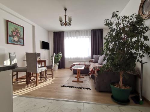 Létesítmények, Apartman Sigma in Nova Varoš