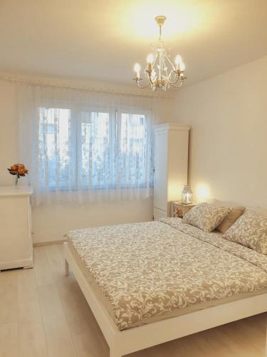 Apartment Elizabeth with balcony, Split (fotografie 4)