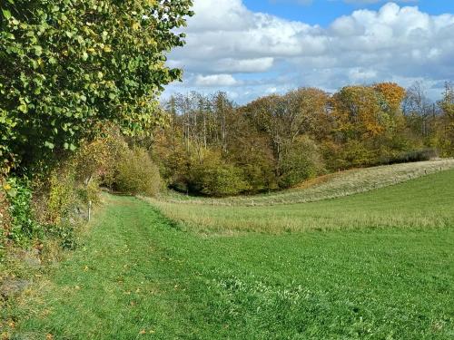 周邊環境, Gemütliches Ferienapartment Für jedes Budget (Gemutliches Ferienapartment Fur jedes Budget) in 霍爾豪森