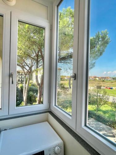 Surrounding environment, B33 A natural tilt for beauty in Pisa