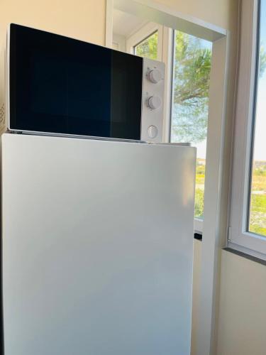 B33 A natural tilt for beauty in Pisa