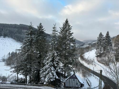 Wohnung mit Weitblick, 50 qm, überdachter Balkon, Schmallenberg