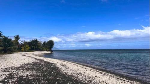 Fare Vaihi in بابارا