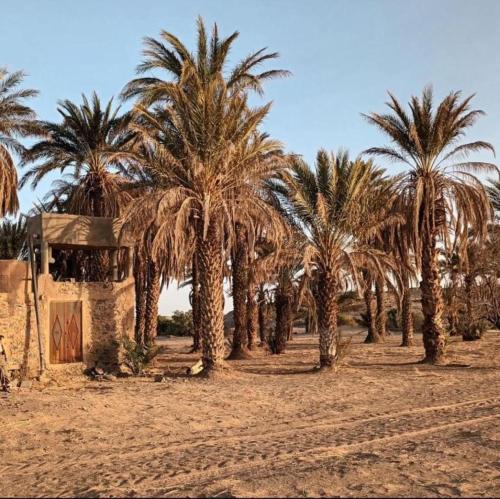 Dārzs, Auberge camping café restaurant Relax Tazoulait (Auberge camping cafe restaurant Relax Tazoulait) in Alnif