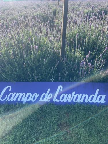 Granja & Vivero Lavanda - Papalotla