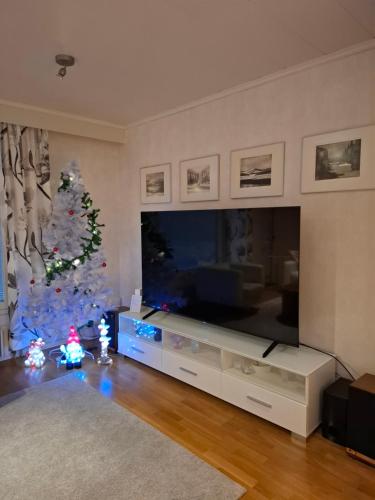 Spacious house in Rovaniemi / Lapland (11 beds)