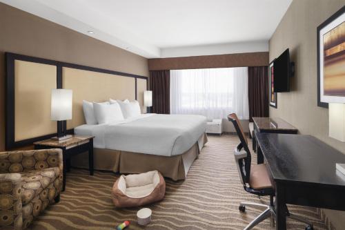 1 king bed