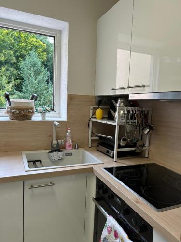 Apartment in Bad Herrenalb in 巴特黑倫阿爾布市中心