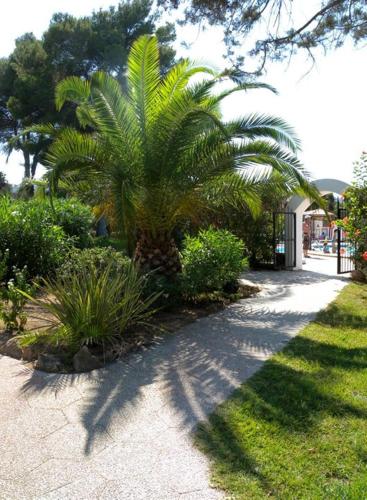 Siesta Mar