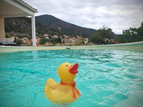 La vie en rose, villa with a view gîte à louer Avoine