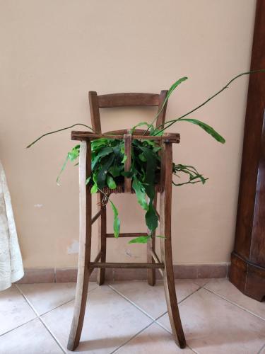 Vigna Renaro Royal in Gubbio