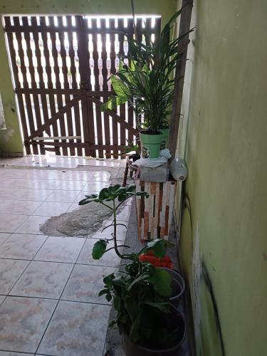 Casa do Fundo da Tia Tata in วีลาเซาเปาโล