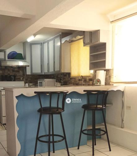 Zinnia Apartments Antigua in Potters Village