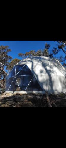 حديقة, Escape to The Dome Studio a Blue Mountains Hidden Gem - in Mount Victoria
