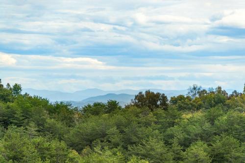 Heavenly View Cabin - image 6