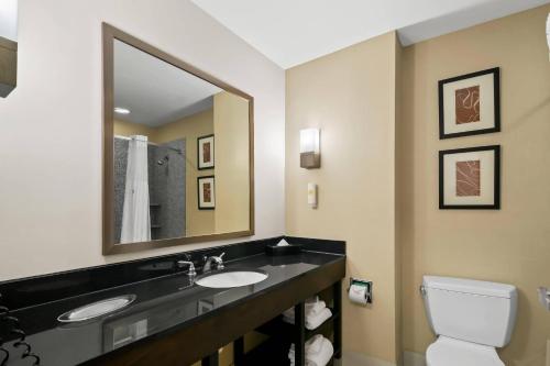 Comfort Suites Bentonville - Rogers in Bentonville, USA