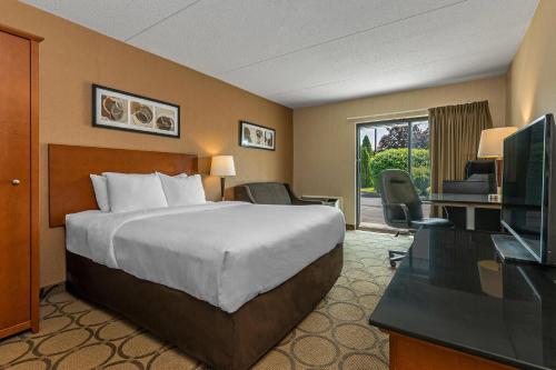 Comfort Inn West Edmonton - image 4