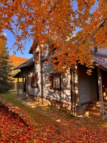 Gray House, Pilipets (foto 3)