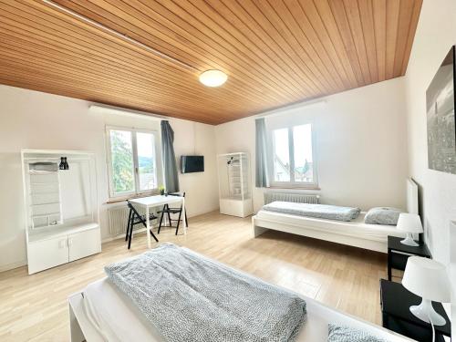 Furnished Living Room in Günsberg Solothurn (Furnished Living Room in Gunsberg Solothurn) in Ruttenen