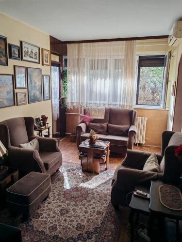 Lion-cozy apartment