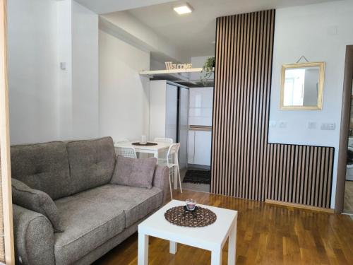 ET apartment Skopje, Skopje (photo 8)
