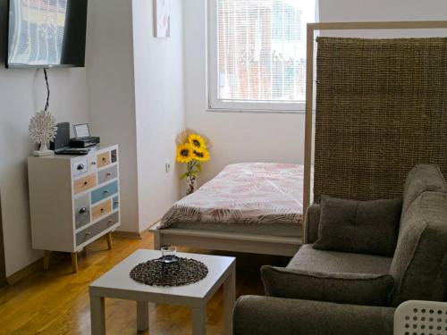 ET apartment Skopje, Skopje (photo 2)