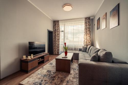 Rila Zen Apartment in Samokov