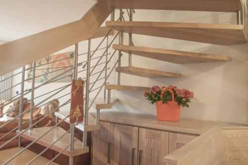 Facilities, CAMPIGLIO Panorama sul Brenta in Madonna di Campiglio