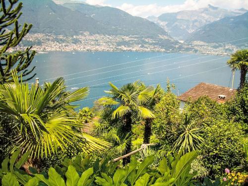 Apartment App- 1 by Interhome in 산 나자로