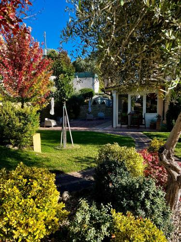 Peperosa in collina B&B, Pescara (fotografie 7)