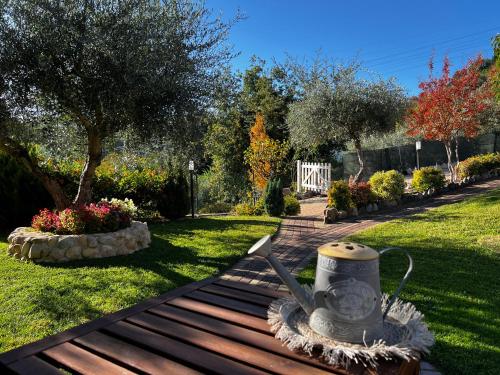 Peperosa in collina B&B, Pescara (fotografie 8)