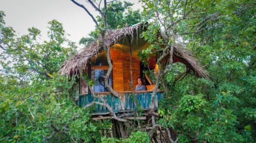 Skyp Lake jungle