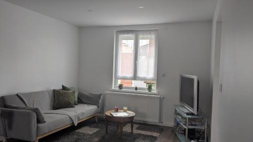 Appart Épine Strasbourg, Strasbourg (photo 11)
