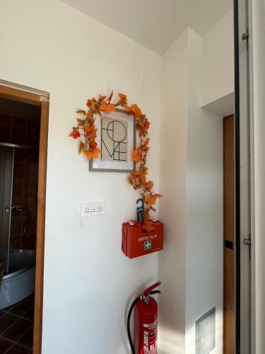 Ieeja, FERIENHAUS Kuća za odmor DJEDIN ORAJ (FERIENHAUS Kuca za odmor DJEDIN ORAJ) in Rezovac