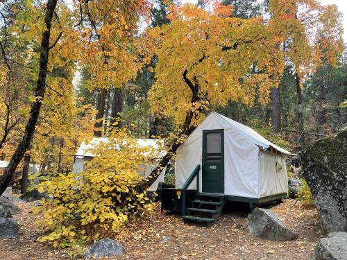 A szálláshely kívülről, Curry Village in Yosemite Valley (CA)
