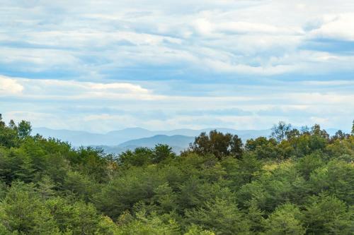 Heavenly View - image 13