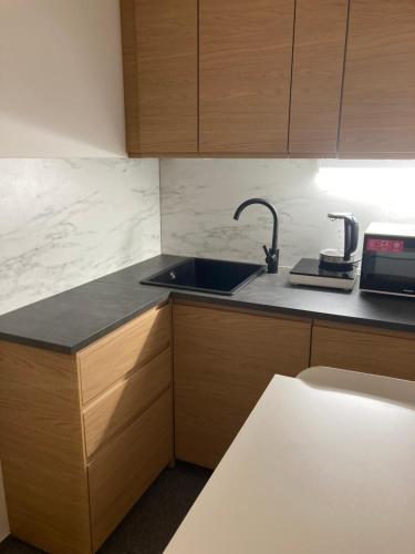 Dapur, Sport apartmán 2117 (Sport apartman 2117) in Lipno nad Vltavou