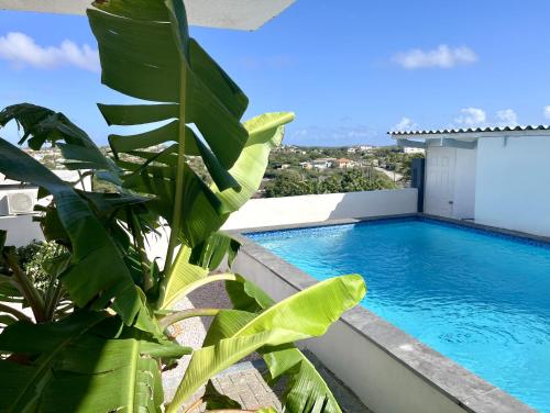 Sundelight Apartments in Nieuwpoort