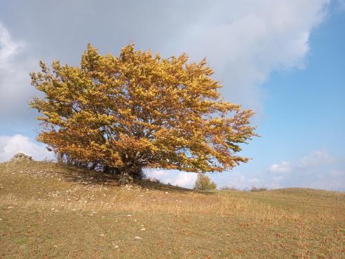 Ferienwohnung Zur Eisenbahn in Fladungen