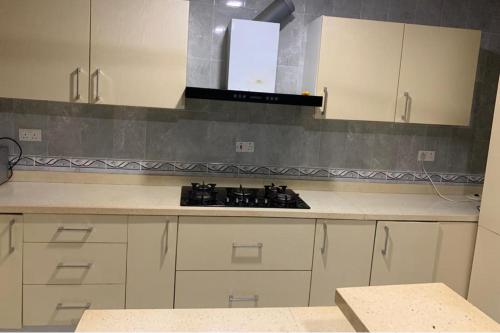 1Bed Apartment - Parking Wifi Balcony Bbq in Tema