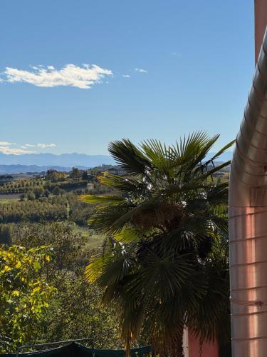  B&B Il glicine in Antignano