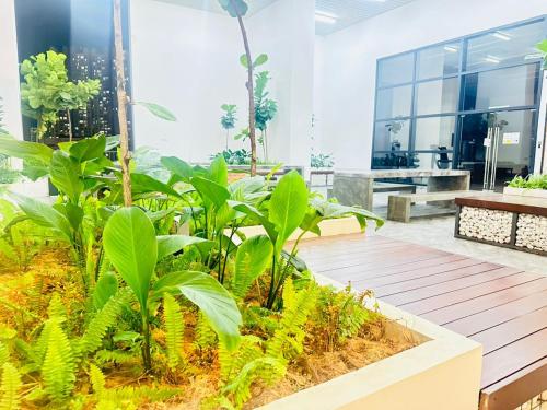 Chamber Haven KL - image 11