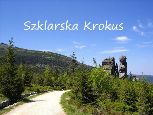Apartament Szklarska Krokus - kolej linowa na Szrenicę 7 minut pieszo, wysoki standard, światłowód, parking
