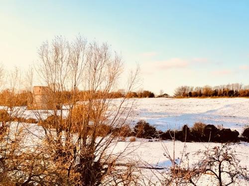 Exterior view, Kingfisher Cottage in East Ayton
