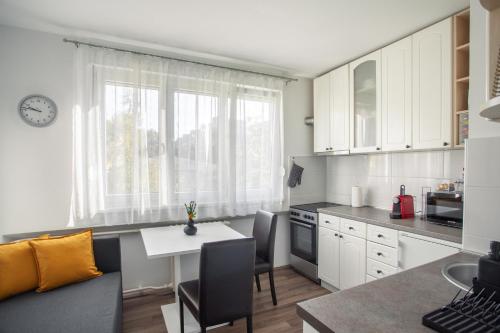 Astra Apartment near the main bus station in Rotkvarija